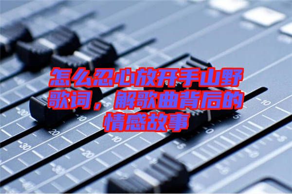 怎么忍心放開手山野歌詞，解歌曲背后的情感故事