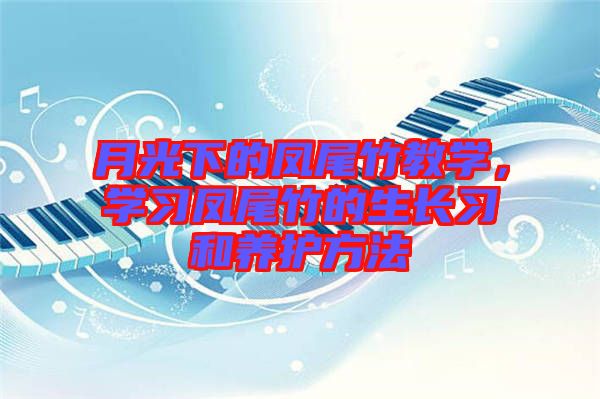 月光下的鳳尾竹教學(xué)，學(xué)習(xí)鳳尾竹的生長習(xí)和養(yǎng)護方法