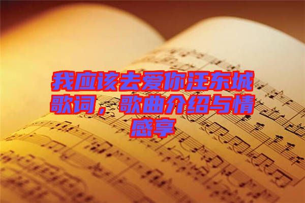 我應(yīng)該去愛你汪東城歌詞，歌曲介紹與情感享