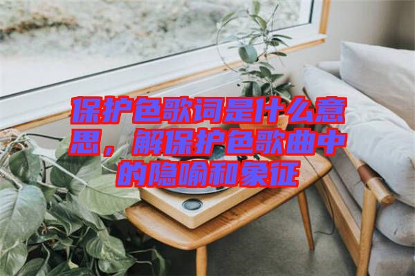 保護色歌詞是什么意思，解保護色歌曲中的隱喻和象征