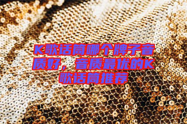 K歌話(huà)筒哪個(gè)牌子音質(zhì)好，音質(zhì)最優(yōu)的K歌話(huà)筒推薦