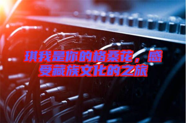 琪我是你的格?；?，感受藏族文化的之旅