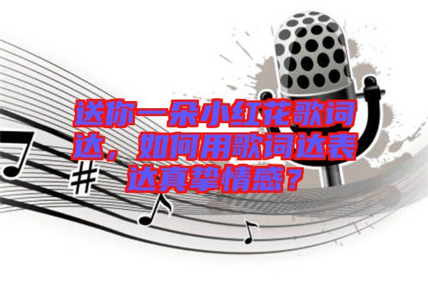 送你一朵小紅花歌詞達，如何用歌詞達表達真摯情感？