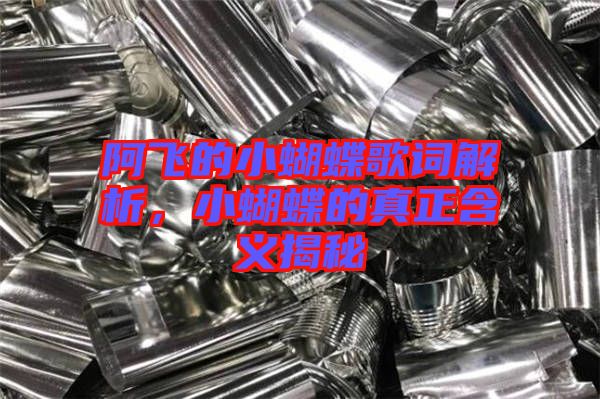 阿飛的小蝴蝶歌詞解析，小蝴蝶的真正含義揭秘