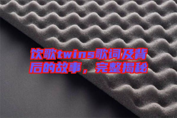 飲歌twins歌詞及背后的故事，完整揭秘