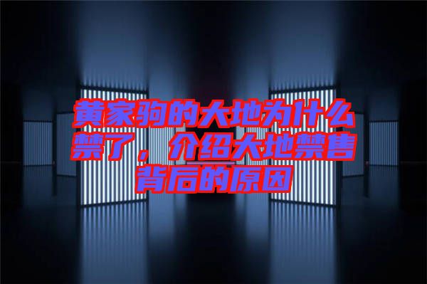 黃家駒的大地為什么禁了，介紹大地禁售背后的原因