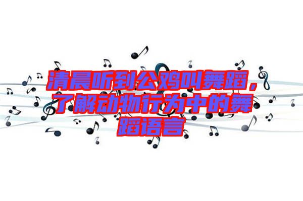 清晨聽到公雞叫舞蹈，了解動物行為中的舞蹈語言