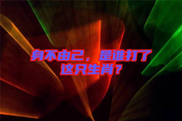 身不由己，是誰打了這只生肖？